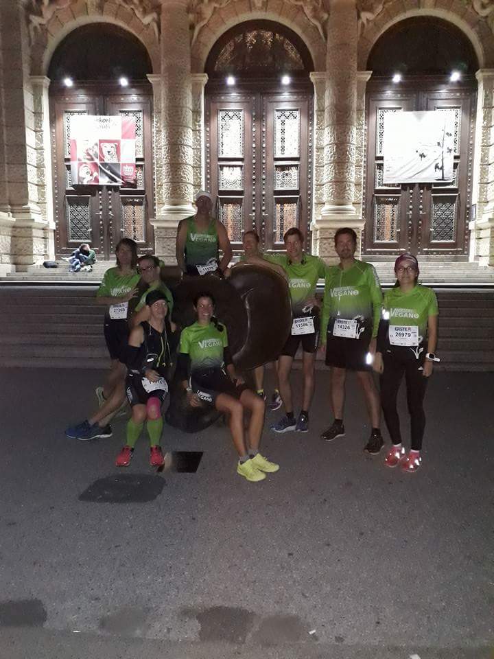 Vienna Night Run am 26. September 2017 - 5 km