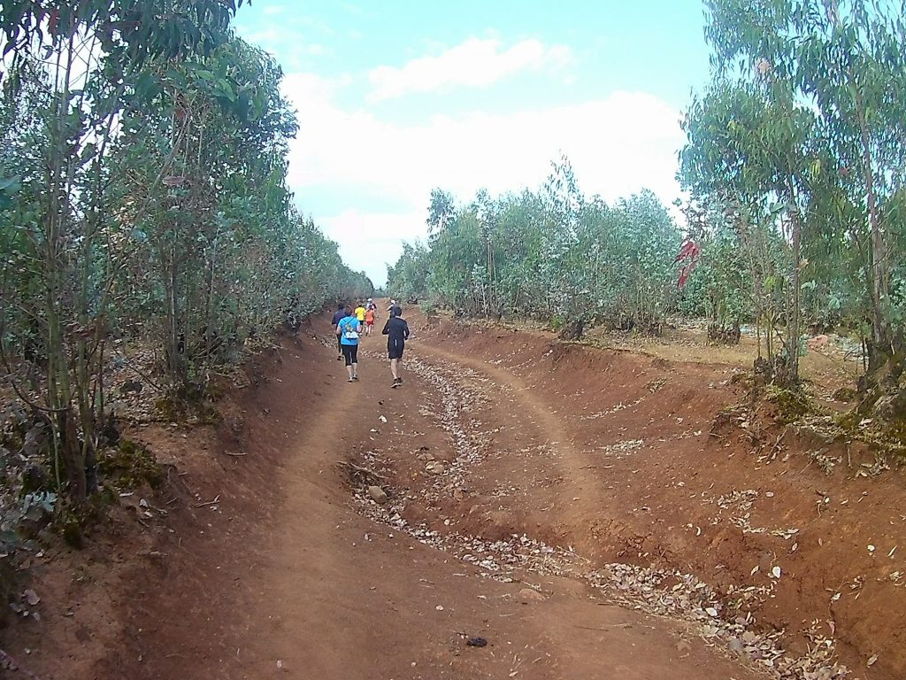 Der Great Ethiopian Run: Ein Reise- und Laufbericht von Thomas Passmann