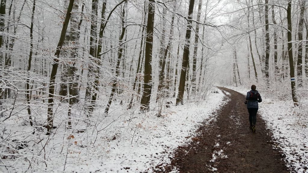 Vienna Winter Trail, 13.1.2018