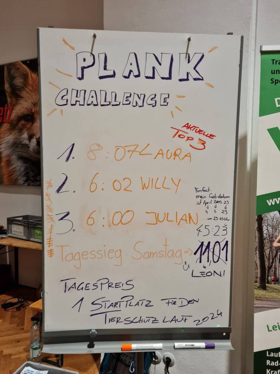 Unsere #plankchallenge-Gewinner:innen
