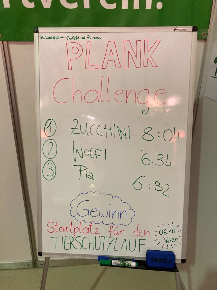 Veggie Planet Graz: Unsere #plankchallenge-Gewinner:innen